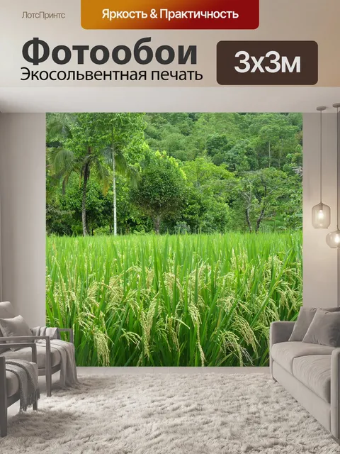 Фотообои Пэдди