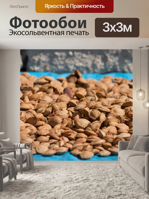 Фотообои Куча абрикосовых косточек