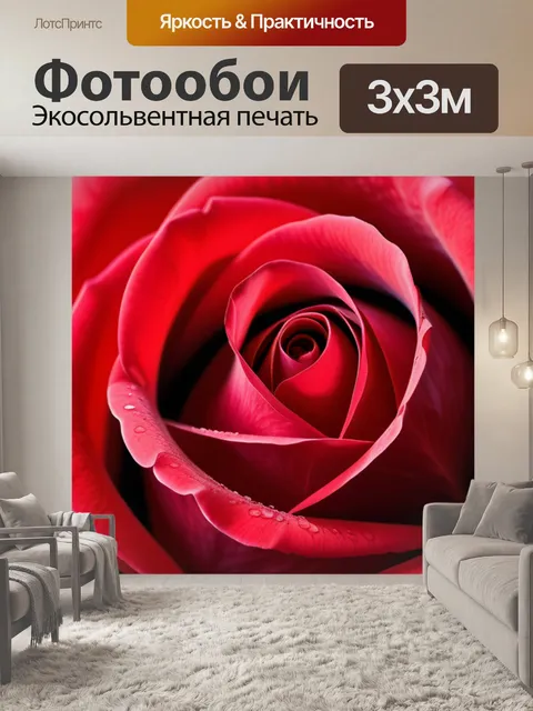 Фотообои с розой красной