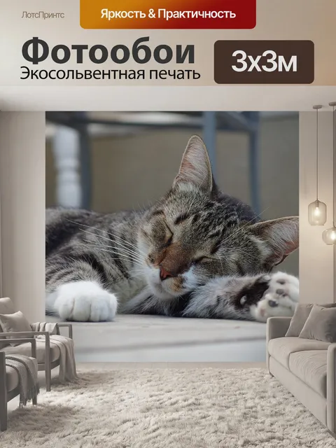 Фотообои Кот