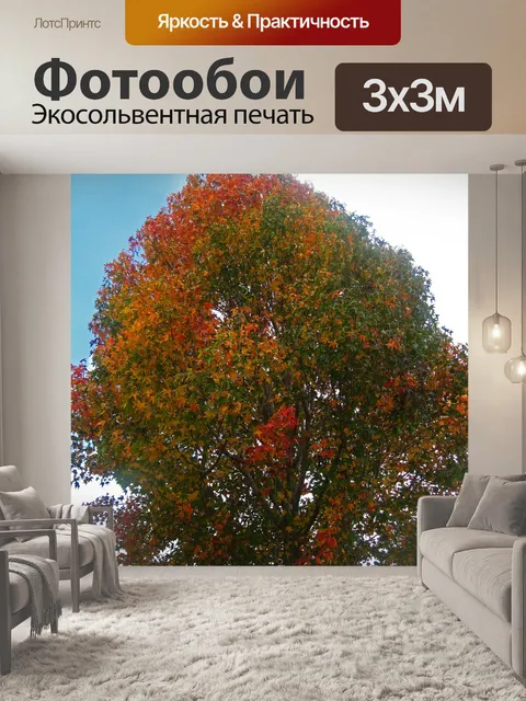 Фотообои высокое дерево с ярким осенним цветом