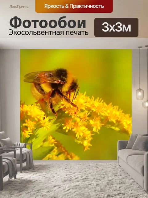 Фотообои Шмель газ