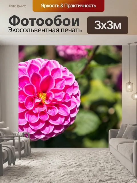Фотообои георгин