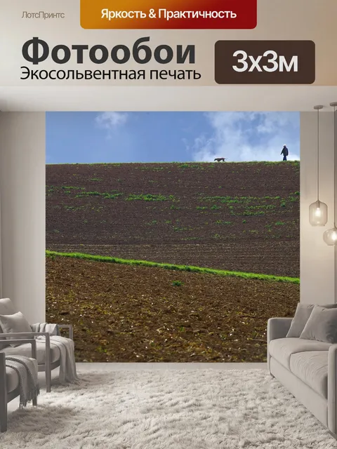 Фотообои Поле