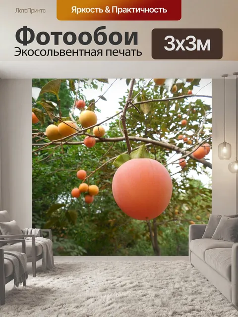 Фотообои Плоды хурмы
