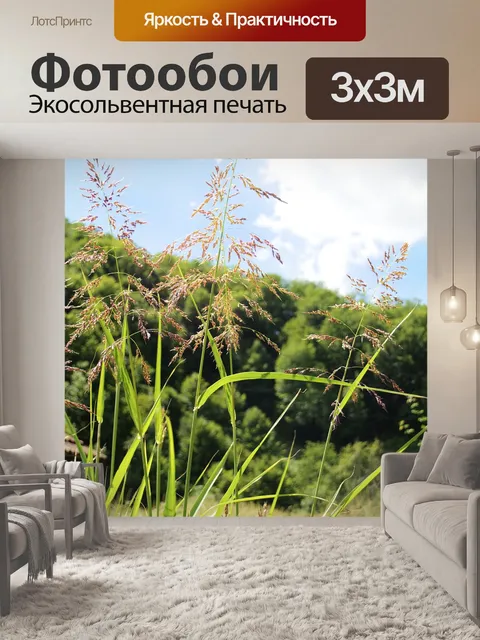 Фотообои Природа