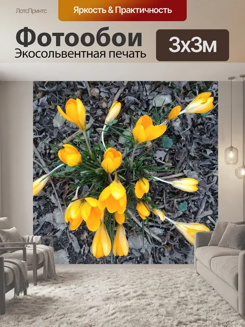 Фотообои Крокус