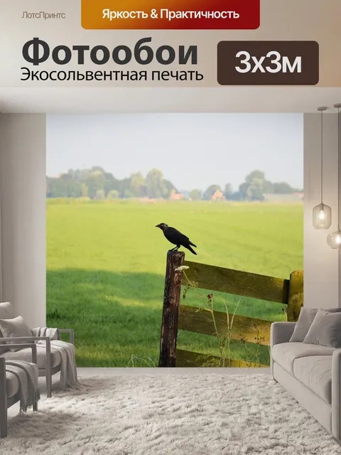 Фотообои Птица