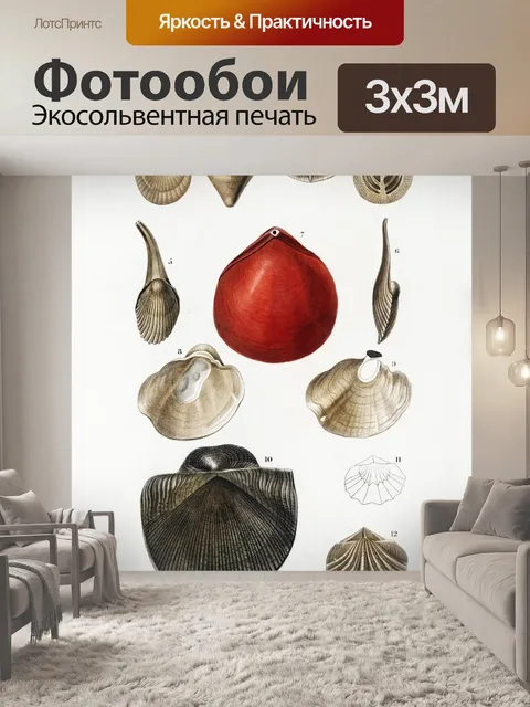 Фотообои Ракушки винтаж искусство старый