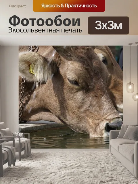 Фотообои Альпийский драйв