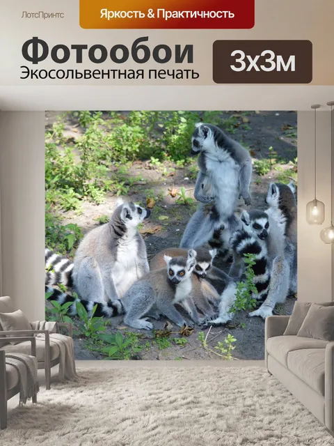 Фотообои Кошачий лемур