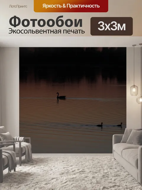 Фотообои Утки и мангалы в озере