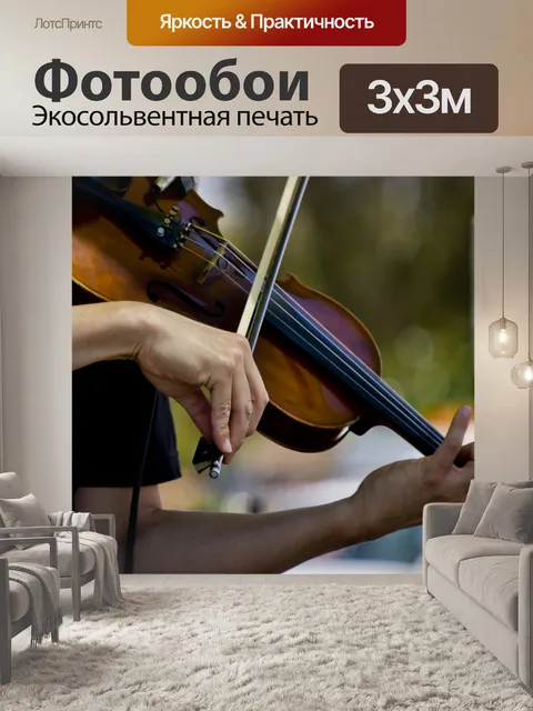 Фотообои Скрипач играет на открытом воздухе