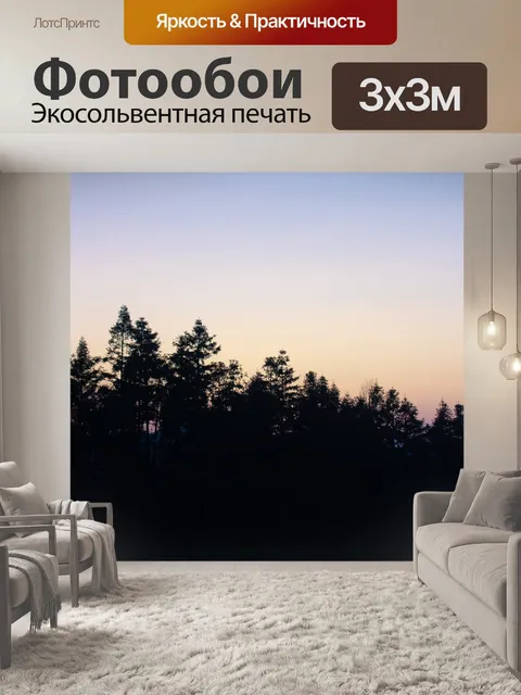 Фотообои Силуэты