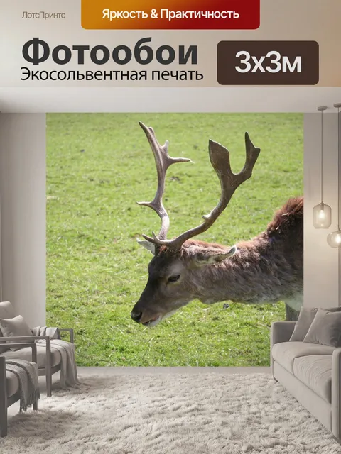 Фотообои Замша