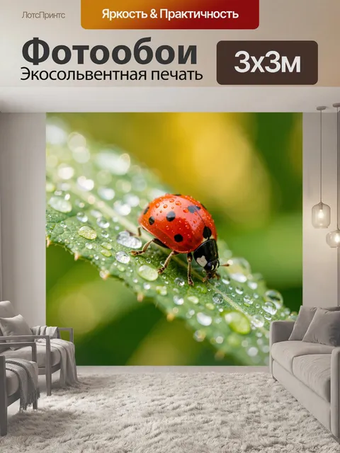 Фотообои Божья коровка на травинке