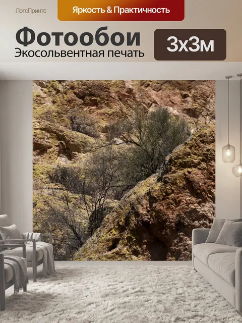 Фотообои Кисть для пустыни