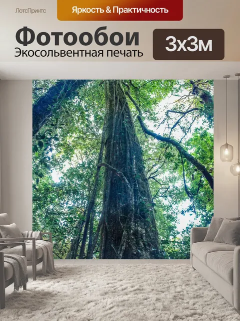 Фотообои Тропический лес в Дои Интанон, Чиангмай