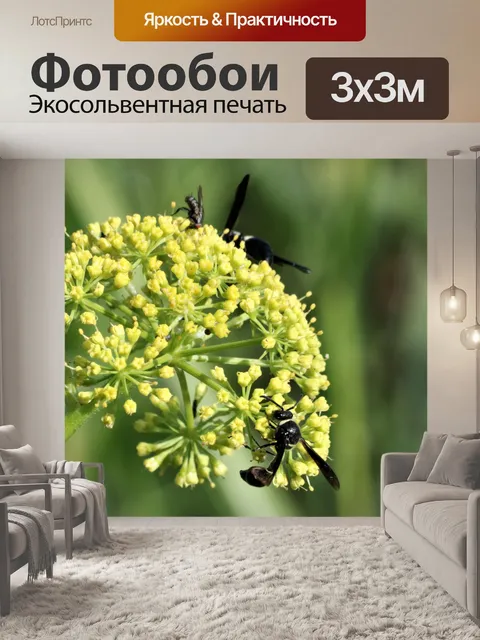 Фотообои Дикая Прерия Петрушка и Оса