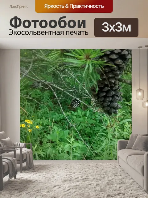 Фотообои Сосновый конус и цветы