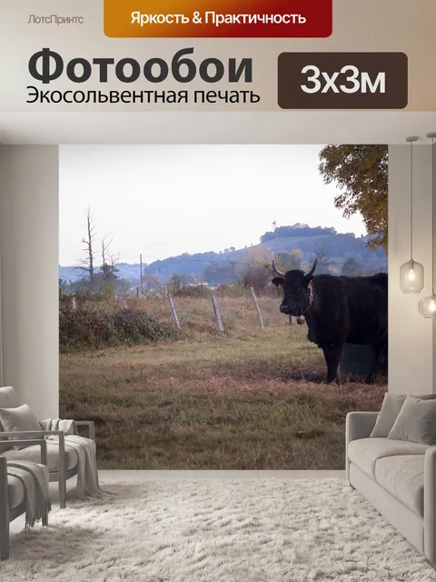 Фотообои Корова