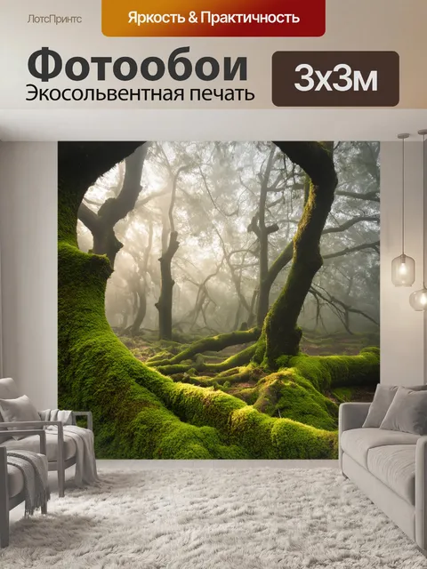 Фотообои утро: загадочный лес, затянутый утренним туманом, окутывает старые деревья
