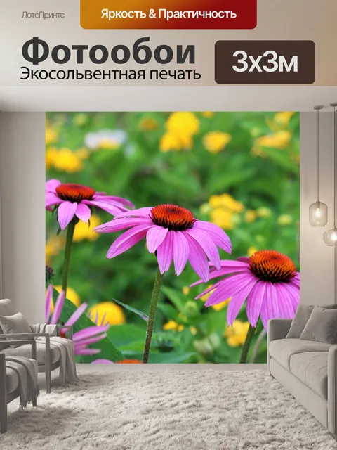Фотообои Розовые Coneflowers и Желтая Лантана