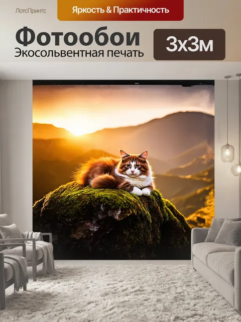Фотообои мягкий пушистый кот, свернувшийся калачиком на высоком заплесневелом камне, на фоне золотого заката, когда…