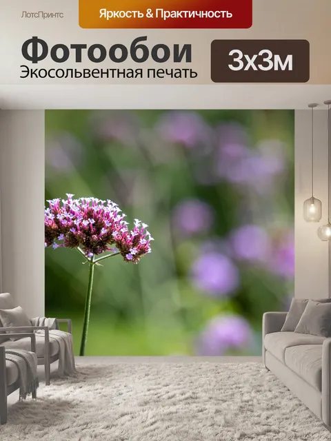Фотообои Растение, цветы, вербена бонарская