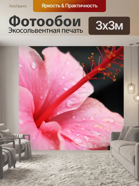 Фотообои Розовый фон Gumamela
