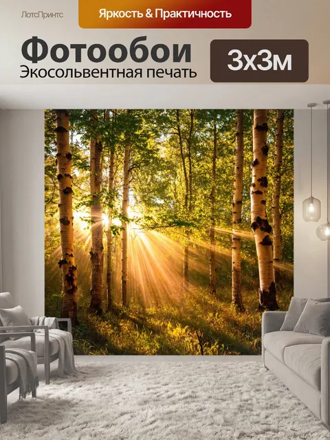 Фотообои коричневый березовый лес, где солнечные лучи проникают сквозь листья, создавая теплую атмосферу