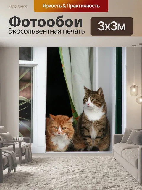 Фотообои Кошки