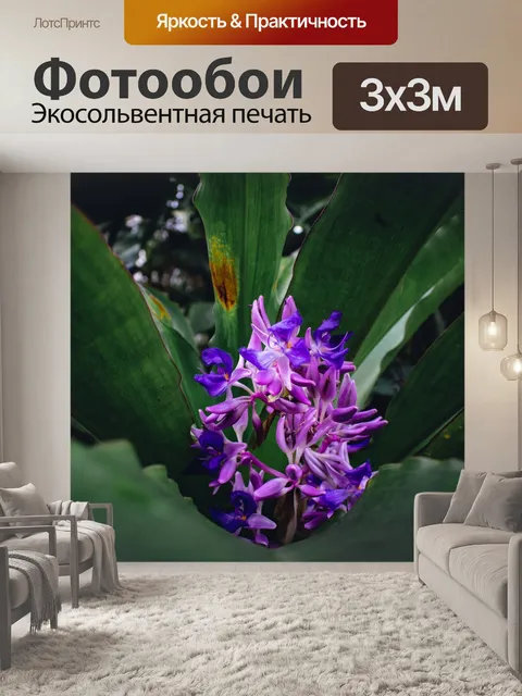Фотообои Фиолетовый
