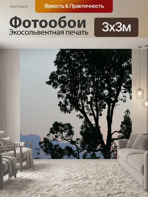 Фотообои силуэт дерева
