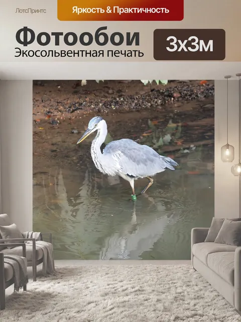 Фотообои Дикий