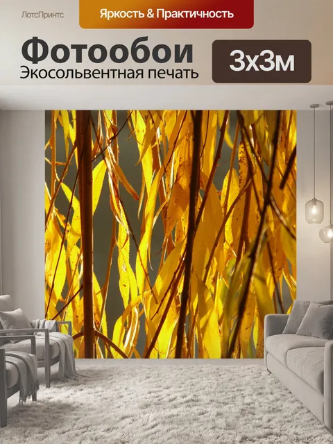 Фотообои Листья ивы