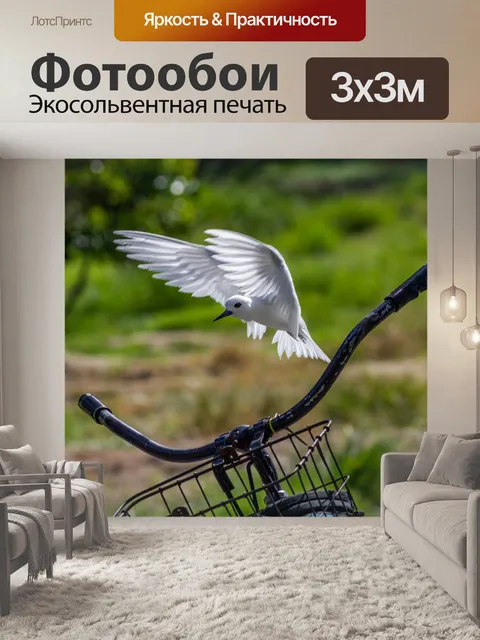 Фотообои Белая крачка