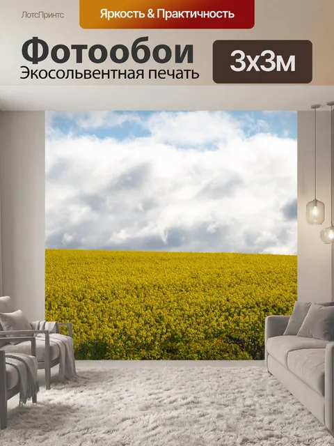 Фотообои Область желтого рапса
