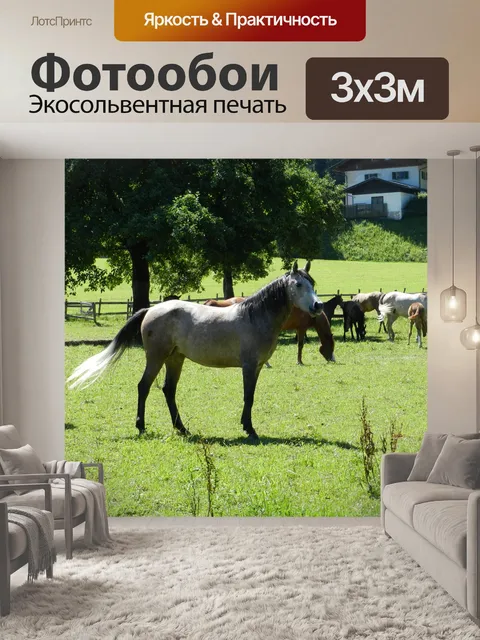 Фотообои Конь