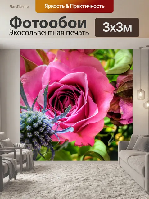 Фотообои Розовая роза