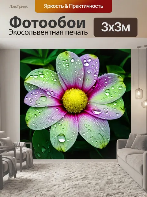 Фотообои цветочный макет с каплями воды на лепестках