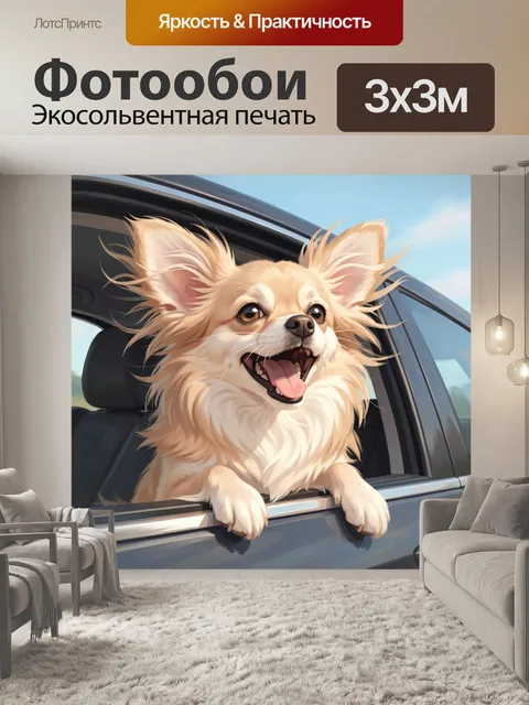 Фотообои Пушистый пес в автомобиле