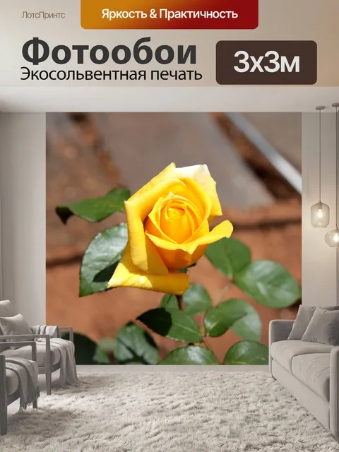 Фотообои Роуз