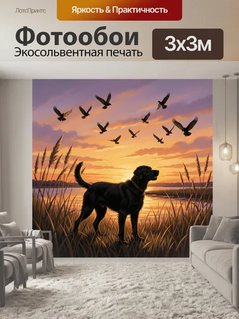 Фотообои Чёрная собака у воды на закате