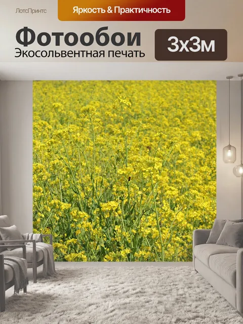 Фотообои Цветы