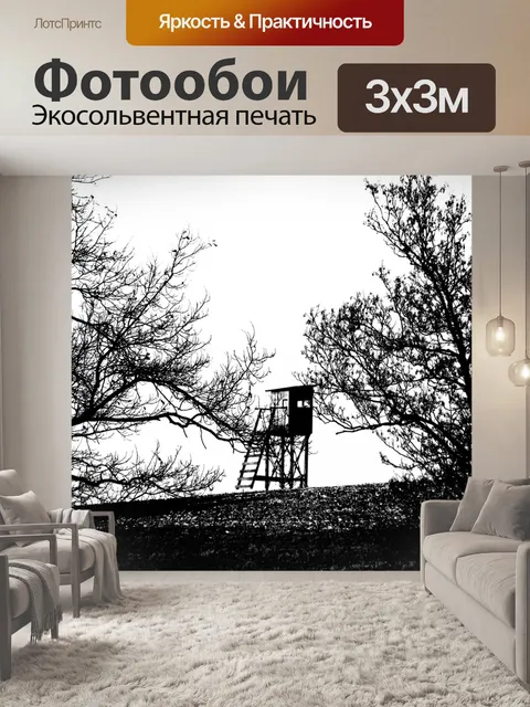Фотообои Черно-белое изображение