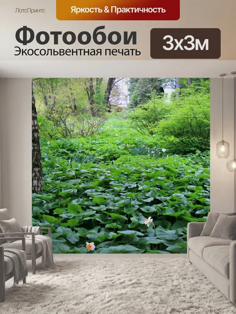 Фотообои зеленый подлесок, ботанический сад