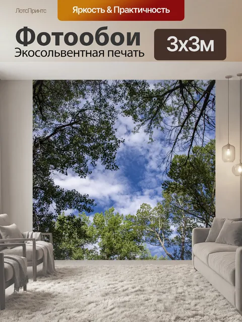 Фотообои деревья. небо и облака