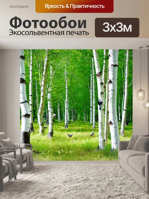 Фотообои россия леса — сочные березовые рощи с белыми стволами и зелеными кронами