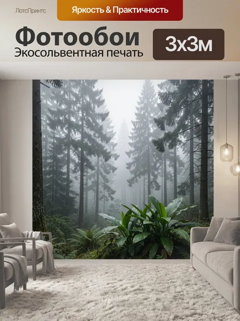 Фотообои Туманный хвойный лес